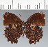  ( - CFC29025)  @11 [ ] copyright (2022) Center For Collection-Based Research Center For Collection-Based Research