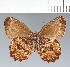  ( - CFC29031)  @11 [ ] copyright (2022) Center For Collection-Based Research Center For Collection-Based Research