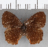  ( - CFC29033)  @11 [ ] copyright (2020) Christer Fahraeus Center For Collection-Based Research