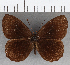  ( - CFC29044)  @11 [ ] copyright (2020) Christer Fahraeus Center For Collection-Based Research