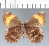  ( - CFC29045)  @11 [ ] copyright (2022) Center For Collection-Based Research Center For Collection-Based Research