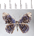  ( - CFC02911)  @13 [ ] Copyright (2018) Christer Fahraeus Center For Collection-Based Research