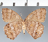  ( - CFC29164)  @11 [ ] copyright (2022) Center For Collection-Based Research Center For Collection-Based Research