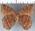  ( - CFC29175)  @11 [ ] copyright (2022) Center For Collection-Based Research Center For Collection-Based Research