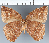  ( - CFC29178)  @11 [ ] copyright (2022) Center For Collection-Based Research Center For Collection-Based Research