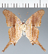  ( - CFC29273)  @11 [ ] copyright (2023) Center For Collection-Based Research Center For Collection-Based Research