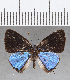  ( - CFC29301)  @11 [ ] Copyright (2020) Christer Fahraeus Center For Collection-Based Research