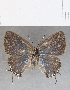  ( - CFC29310)  @11 [ ] Copyright (2020) Christer Fahraeus Center For Collection-Based Research