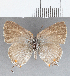  ( - CFC29338)  @13 [ ] Copyright (2020) Christer Fahraeus Center For Collection-Based Research