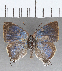  ( - CFC29340)  @14 [ ] Copyright (2020) Christer Fahraeus Center For Collection-Based Research