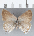  ( - CFC29357)  @13 [ ] Copyright (2020) Christer Fahraeus Center For Collection-Based Research