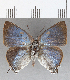  ( - CFC29358)  @14 [ ] Copyright (2020) Christer Fahraeus Center For Collection-Based Research