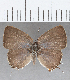  ( - CFC29408)  @11 [ ] Copyright (2020) Christer Fahraeus Center For Collection-Based Research