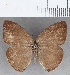  ( - CFC29447)  @11 [ ] copyright (2020) Christer Fahraeus Center For Collection-Based Research
