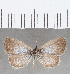  ( - CFC29502)  @11 [ ] copyright (2020) Christer Fahraeus Center For Collection-Based Research