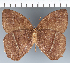  ( - CFC29576)  @11 [ ] copyright (2022) Center For Collection-Based Research Center For Collection-Based Research