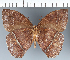  ( - CFC29582)  @11 [ ] copyright (2022) Center For Collection-Based Research Center For Collection-Based Research