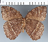  ( - CFC29585)  @11 [ ] copyright (2022) Center For Collection-Based Research Center For Collection-Based Research