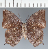  ( - CFC29598)  @11 [ ] copyright (2023) Center For Collection-Based Research Center For Collection-Based Research