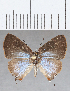  ( - CFC29810)  @11 [ ] Copyright (2020) Christer Fahraeus Center For Collection-Based Research