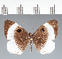  ( - CFC29841)  @11 [ ] copyright (2022) Center For Collection-Based Research Center For Collection-Based Research