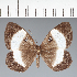  ( - CFC30058)  @11 [ ] copyright (2022) Center For Collection-Based Research Center For Collection-Based Research