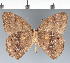  ( - CFC30194)  @11 [ ] copyright (2022) Center For Collection-Based Research Center For Collection-Based Research