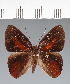  ( - CFC30233)  @11 [ ] copyright (2022) Center For Collection-Based Research Center For Collection-Based Research