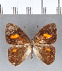  ( - CFC03030)  @11 [ ] Copyright (2018) Christer Fahraeus Center For Collection-Based Research