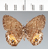  ( - CFC30310)  @11 [ ] copyright (2022) Center For Collection-Based Research Center For Collection-Based Research