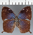  ( - CFC30388)  @11 [ ] copyright (2023) Center For Collection-Based Research Center For Collection-Based Research