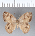  ( - CFC03040)  @11 [ ] Copyright (2018) Christer Fahraeus Center For Collection-Based Research