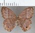  ( - CFC30404)  @11 [ ] copyright (2020) Christer Fahraeus Center For Collection-Based Research