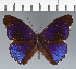  ( - CFC30486)  @11 [ ] copyright (2023) Center For Collection-Based Research Center For Collection-Based Research