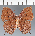  ( - CFC30494)  @11 [ ] copyright (2023) Center For Collection-Based Research Center For Collection-Based Research
