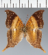  ( - CFC30549)  @11 [ ] copyright (2023) Center For Collection-Based Research Center For Collection-Based Research