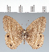  ( - CFC30830)  @11 [ ] copyright (2022) Center For Collection-Based Research Center For Collection-Based Research