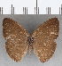  ( - CFC30835)  @11 [ ] copyright (2020) Christer Fahraeus Center For Collection-Based Research