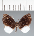  ( - CFC30913)  @11 [ ] copyright (2022) Center For Collection-Based Research Center For Collection-Based Research
