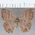  ( - CFC30972)  @11 [ ] copyright (2020) Christer Fahraeus Center For Collection-Based Research