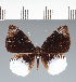  ( - CFC31033)  @11 [ ] copyright (2022) Center For Collection-Based Research Center For Collection-Based Research