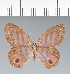  ( - CFC31108)  @11 [ ] copyright (2022) Center For Collection-Based Research Center For Collection-Based Research