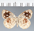  ( - CFC31245)  @11 [ ] copyright (2023) Center For Collection-Based Research Center For Collection-Based Research