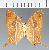  ( - CFC31273)  @11 [ ] copyright (2023) Center For Collection-Based Research Center For Collection-Based Research