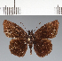  ( - CFC31348)  @11 [ ] copyright (2023) Center For Collection-Based Research Center For Collection-Based Research