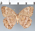  ( - CFC31378)  @11 [ ] copyright (2022) Center For Collection-Based Research Center For Collection-Based Research