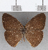  ( - CFC31426)  @11 [ ] copyright (2020) Christer Fahraeus Center For Collection-Based Research