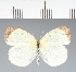  ( - CFC31633)  @11 [ ] copyright (2023) Center For Collection-Based Research Center For Collection-Based Research