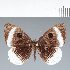  ( - CFC31644)  @11 [ ] copyright (2022) Center For Collection-Based Research Center For Collection-Based Research