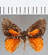  ( - CFC31647)  @11 [ ] Copyright (2019) Christer Fahraeus Center For Collection-Based Research